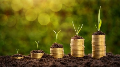 Carlos Alberto Arges Júnior observa que os investimentos estrangeiros trazem tecnologia e capital, impulsionando a eficiência do agronegócio brasileiro.