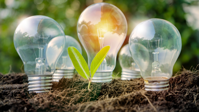 Entenda com Leonardo Manzan como os certificados de energia renovável podem impactar estratégias fiscais e investimentos.