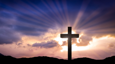 Jose Eduardo De Oliveira e Silva reflete sobre São João Bosco: sistema preventivo, amizade e santidade juvenil.