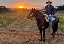 Altevir Seidel explica os critérios essenciais para escolher o haras ideal e garantir bem-estar aos seus cavalos.