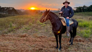 Altevir Seidel explica os critérios essenciais para escolher o haras ideal e garantir bem-estar aos seus cavalos.
