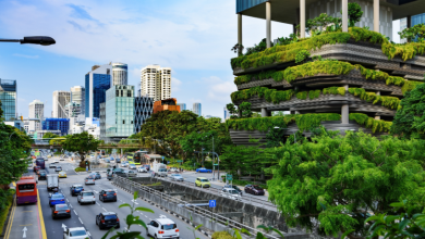 Loteamentos planejados contribuem para mobilidade, organização territorial e qualidade de vida urbana, destaca Guilherme Silva Ribeiro Campos.