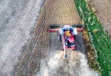 Registro de empresas de agroquímicos mais simples impulsiona eficiência no agronegócio paulista