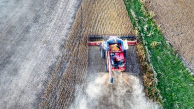 Registro de empresas de agroquímicos mais simples impulsiona eficiência no agronegócio paulista