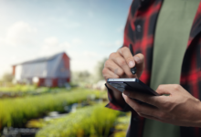 Alfredo Moreira Filho